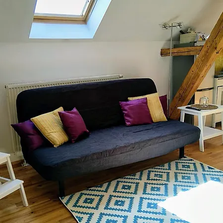 Apartment Wohnen Am Fusse Des Kassbergs Chemnitz