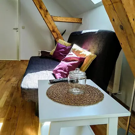 Apartment Wohnen Am Fusse Des Kassbergs Chemnitz